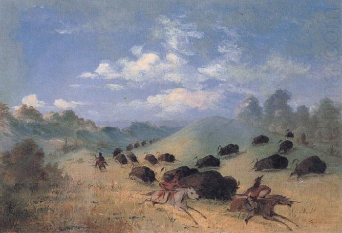 George Catlin Comanche Indians Chasing Buffalo with Lances and Bows oil painting picture